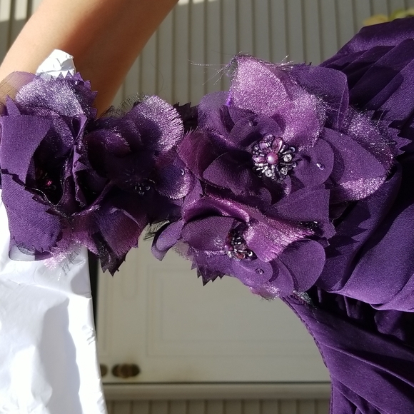 purple fancy gown full length - Picture 6 of 6